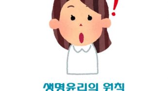 생명윤리의 원칙과 생명윤리규칙