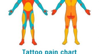 Tattoo pain chart (타투 하면서 신체가 느끼는 통증 지수)