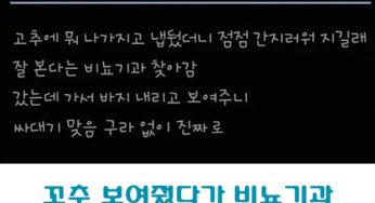 꼬추 보여줬다가 비뇨기과 의사한테 싸대기 맞음